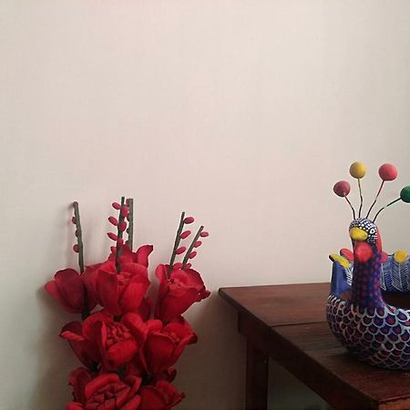 Casita Tipica Cholulteca - Completa Villa Cholula Eksteriør billede